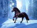 Black unicorn on snow.jpg